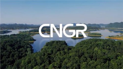 ESG | 手信云网络，，为构建“可充电的世界”尽责
